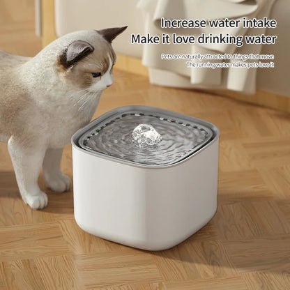 Auto Filtering Cat Water Fountain